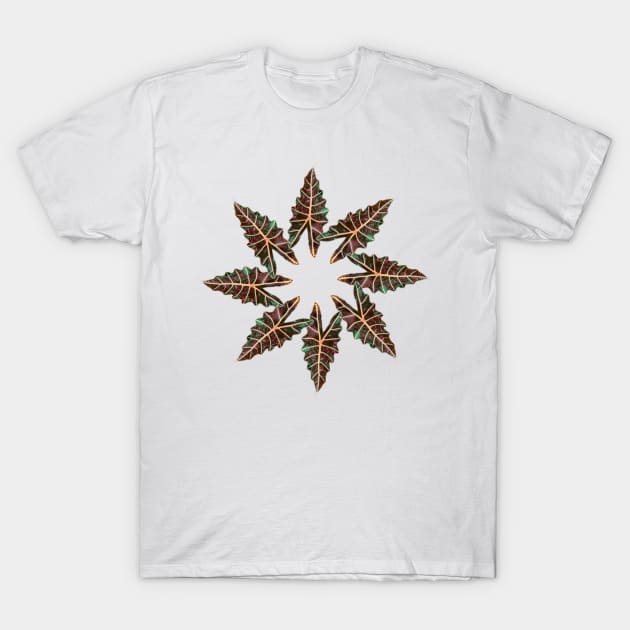 Alocasia mandala T-Shirt by Meo Design